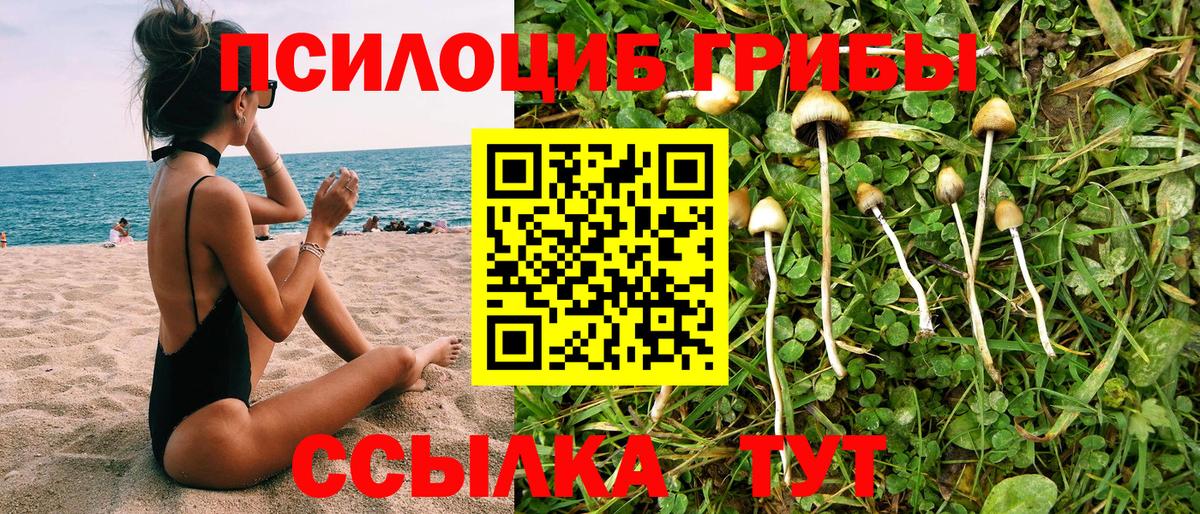 Галлюциногенные грибы Cubensis  Галлюциногенные грибы GOLDEN TEACHER  Вход с VPN  Уфа 