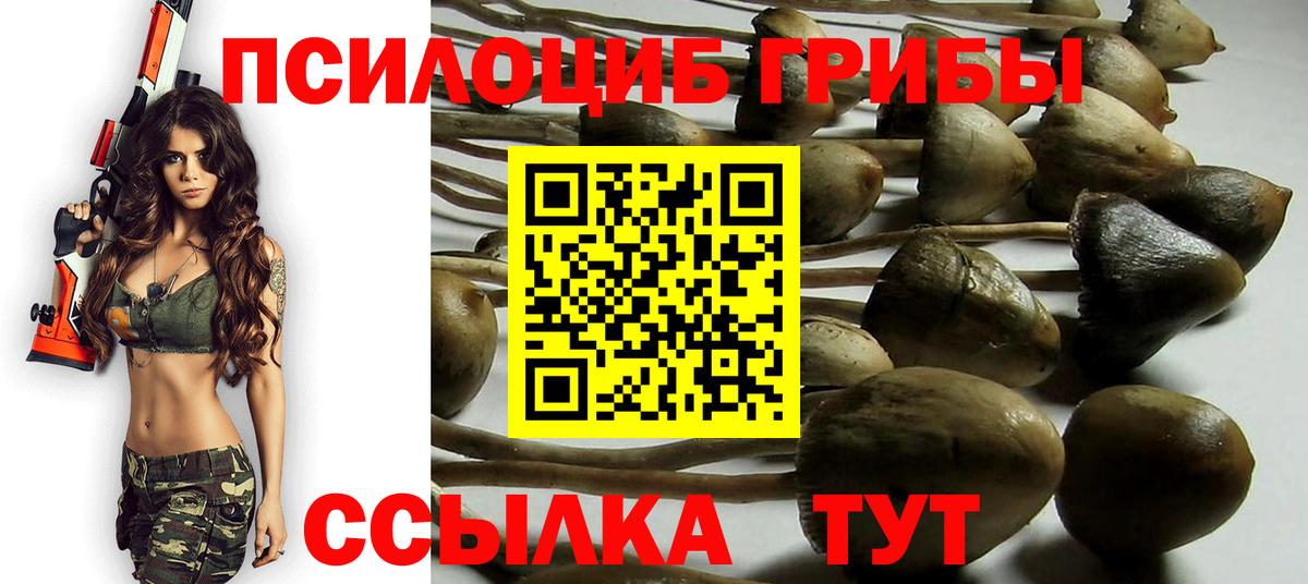 Галлюциногенные грибы прущие грибы Уфа